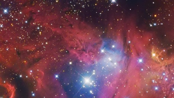 No.17 NGC2264 Fox Fur Nebula